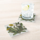 Dandelion (kleurengraving) glazen onderzetter (Schuin)