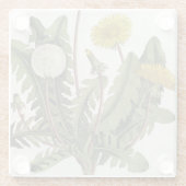 Dandelion (kleurengraving) glazen onderzetter (Achterkant)