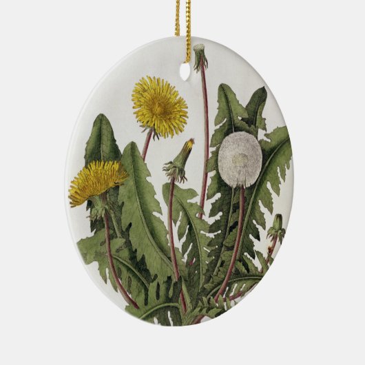 Dandelion (kleurengraving) keramisch ornament (Rechts)