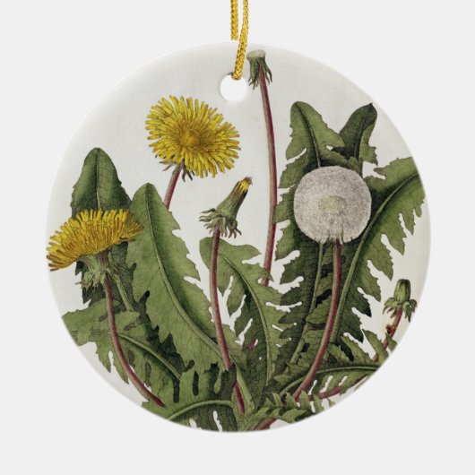Dandelion (kleurengraving) keramisch ornament (Voorkant)