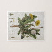 Dandelion (kleurengraving) legpuzzel (Horizontaal)