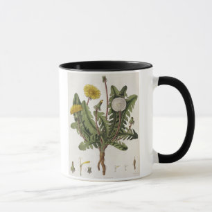 Dandelion (kleurengraving) mok
