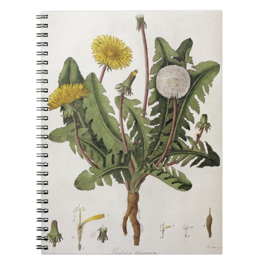 Dandelion (kleurengraving) notitieboek (Voorkant)