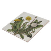Dandelion (kleurengraving) tegeltje (Zijkant)