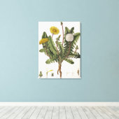 Dandelion (kleurgraving) canvas afdruk (Insitu (Houten vloer))