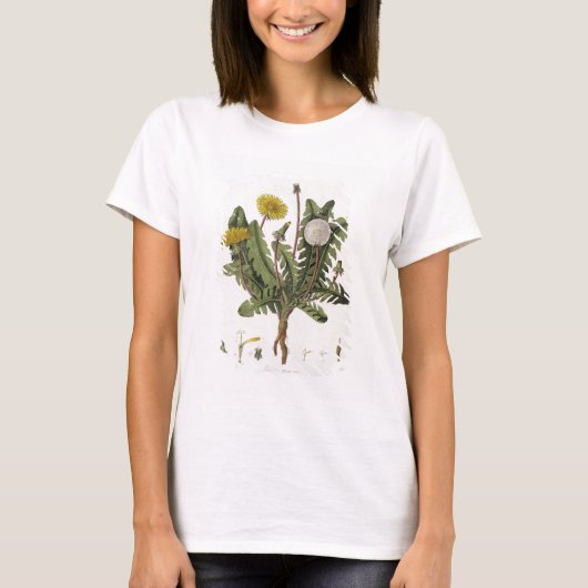 Dandelion (kleurgraving) t-shirt (Voorkant)