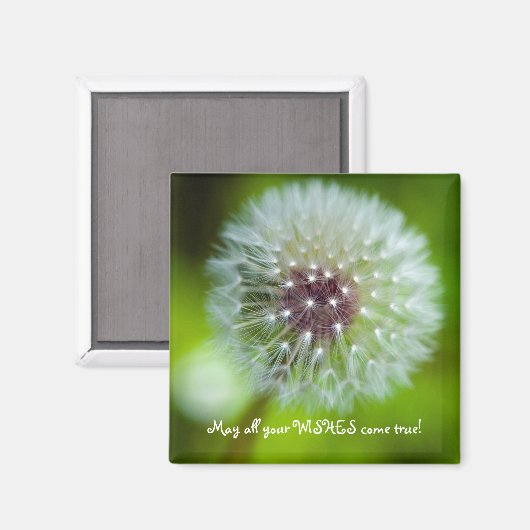 Dandelion koelkast Magnet (Voorkant / Achterkant)