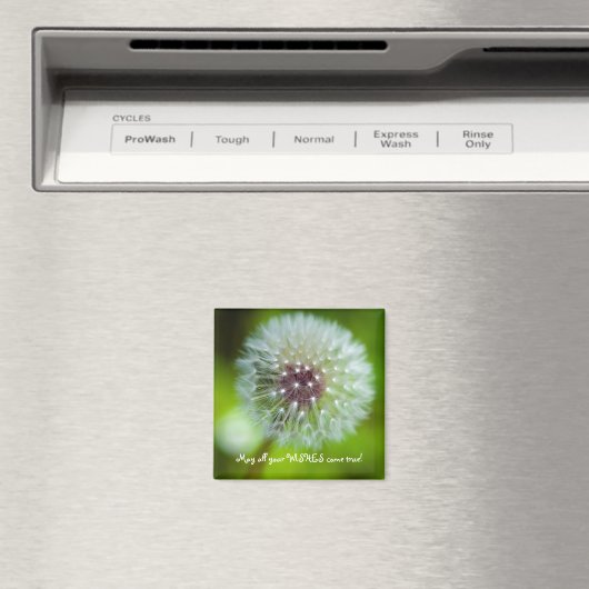 Dandelion koelkast Magnet (Insitu (Vaatwasser))