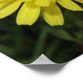 Dandelion Macro Afbeelding Poster (Hoek)