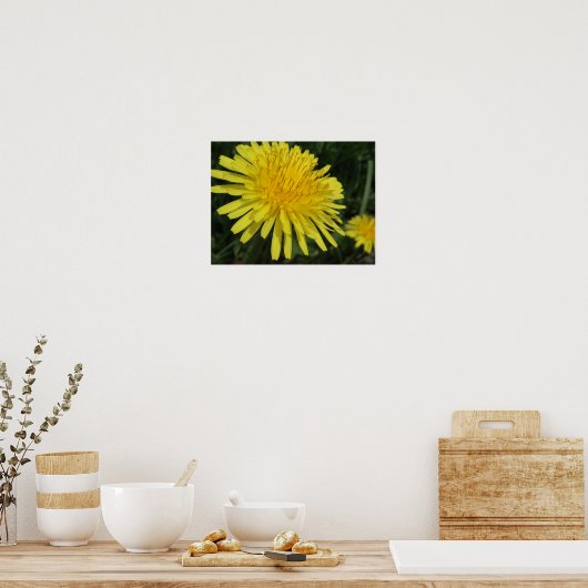 Dandelion Macro Afbeelding Poster (Keuken)