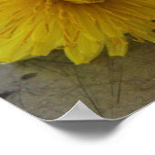 Dandelion Macro Shot Poster (Hoek)