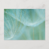 Dandelion macroon briefkaart (Voorkant)