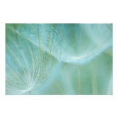 Dandelion macroon foto afdruk (Voorkant)