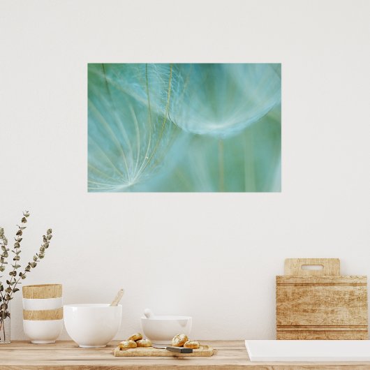 Dandelion macroon poster (Keuken)