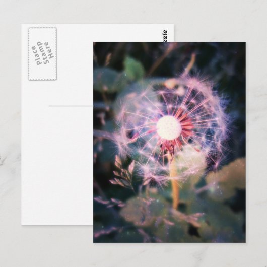 Dandelion Magic Briefkaart (Voorkant / Achterkant)