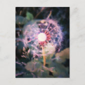 Dandelion Magic Briefkaart (Voorkant)