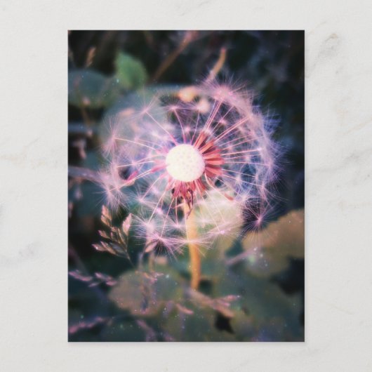 Dandelion Magic Briefkaart (Voorkant)