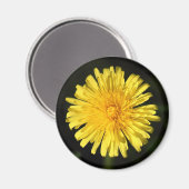 Dandelion Magneet (Voorkant / Achterkant)