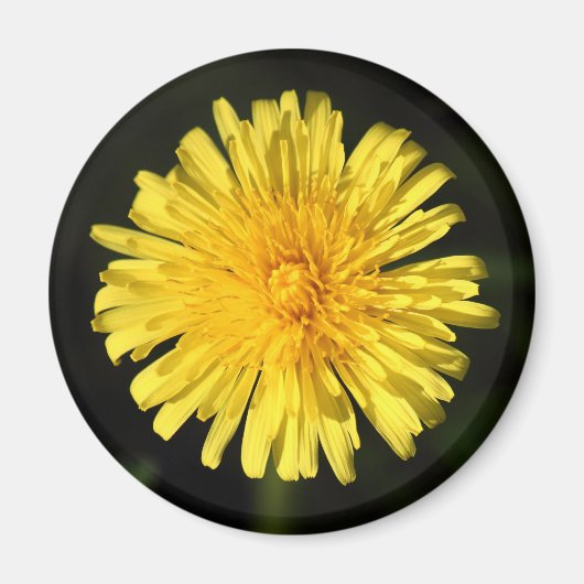 Dandelion Magneet (Voorkant)