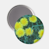 Dandelion Magneet (Voorkant / Achterkant)