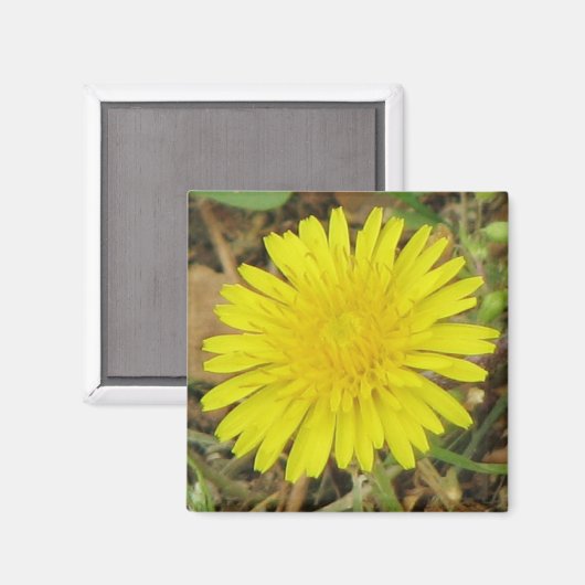 Dandelion Magneet (Voorkant / Achterkant)