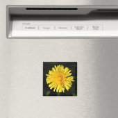 Dandelion Magneet (Insitu (Vaatwasser))
