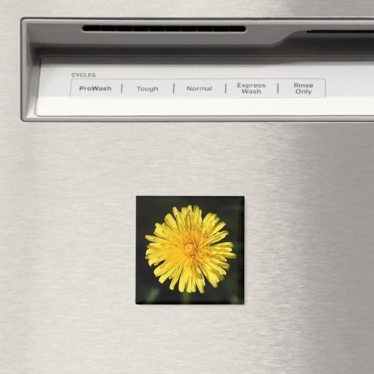 Dandelion Magneet (Insitu (Vaatwasser))