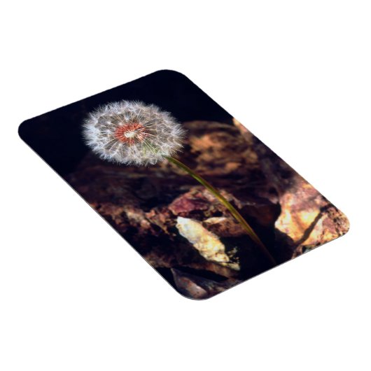 Dandelion Magneet (Rechterzijde)