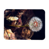 Dandelion Magneet (Horizontaal)