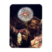 Dandelion Magneet (Verticaal)
