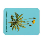Dandelion Magneet (Horizontaal)