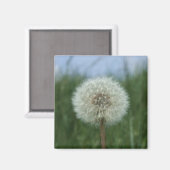 Dandelion Magnet (Voorkant / Achterkant)