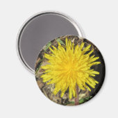 Dandelion Magnet (Voorkant / Achterkant)