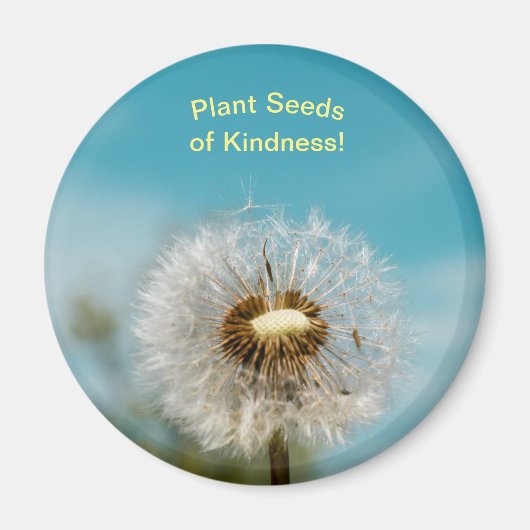 Dandelion Magnet Plant Seeds of Kindness (Voorkant)