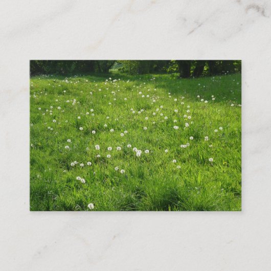 Dandelion Meadow 01 Visitekaartje (Voorkant)