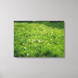Dandelion Meadow Canvas Afdruk