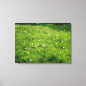 Dandelion Meadow Canvas Afdruk (Voorkant)