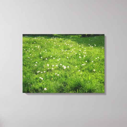 Dandelion Meadow Canvas Afdruk (Voorkant)
