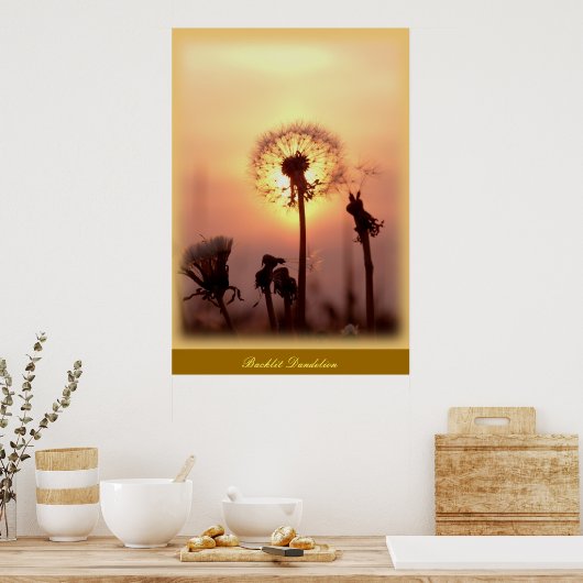 Dandelion met achtergrondverlichting - Chisasibi Q Poster (Keuken)