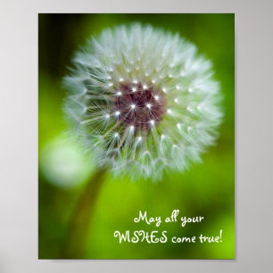 Dandelion "Moge al je wensen uitkomen!" Poster