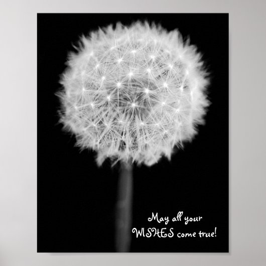 Dandelion "Moge al je wensen uitkomen!" Poster (Voorkant)