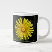 Dandelion Mok (Rechts)