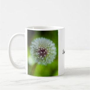 Dandelion Mok