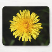 Dandelion Muismat (Voorkant)