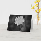 Dandelion/Noir, kaart (Gele Bloem)