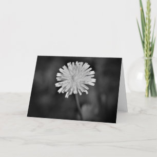 Dandelion/Noir, kaart
