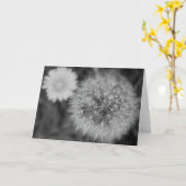 Dandelion/Noir Kaart (Gele Bloem)