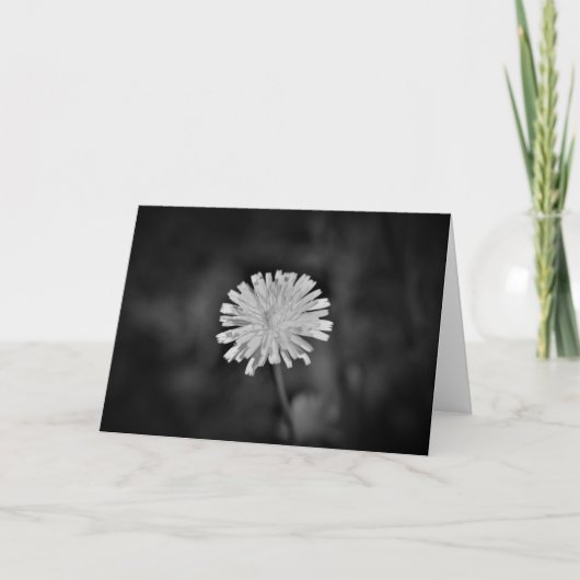 Dandelion/Noir, kaart (Voorkant)