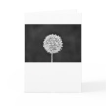 Dandelion - Noir, kaart