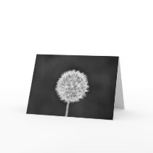 Dandelion - Noir, kaart